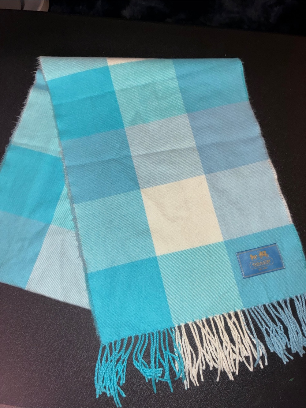 Coach Blue Plaid Fringe Scarf 🧣 blues blue Patch